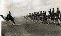 Britanski vojaki kamel v Britanski Somaliland