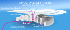 Tropik bir siklonun şematik diyagramı