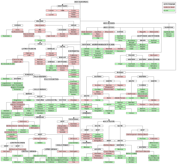 Tree diagram showing genetic relationships among languages