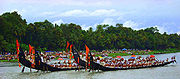 Vallamkali snakeboat races are a part of Onam festival tradition.