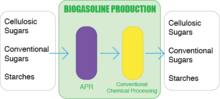 Biogasoline Production Process