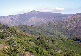 Vue de la face est du mont Aigoual.