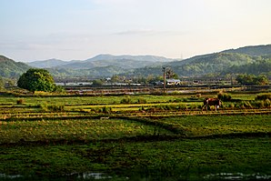 Sarong tanawon sa Sual, Pangasinan
