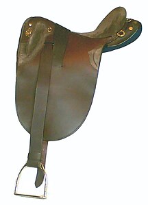 Australian stock saddle, seen at local and regional levels, occasionally at higher levels