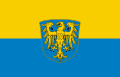Flag with coat of arms