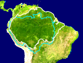 Extensión de la Amazonia
