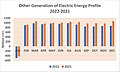 Other Sources of Electric Energy Generation Profile 2022-2021