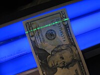 The security thread of a US $20 bill glows green under black light as a safeguard against counterfeiting.