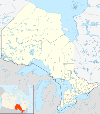 蒂米斯卡明湖岸市在安大略省的位置