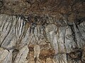 Limestone formation in Mawsmai Caves