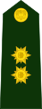General de brigada del Ejército.