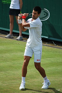 Novak Djokovic a câștigat șapte titluri la simplu masculin.