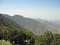Ġebel Sewda huwa quċċata li tinsab fl-Arabja Sawdija, b'altitudni ta' madwar 3,000 metru (9,843 pied).
