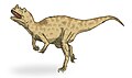 Ceratosaurus v1