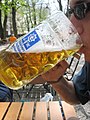 A Maßkrug minangka gaya gelas sing ditampilake ing festival bir Jerman, utamane ing Bavaria, kayata Oktoberfest ing Munich.