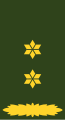 กองทัพบกเนเธอร์แลนด์ (Luitenant-Kolonel)