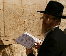 Batı Duvarı'nda Zebur okuyan bir Yahudi