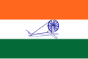 Governo dell'India Libera – Bandiera