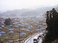 The Umbrella Project (1991), instalación artística de Christo, Ibaraki (Japón).