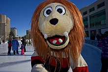 person wearing a lion outfit and hockey jersey