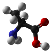 Ball-and-stick model of the L-isomer