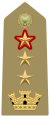 Distintivo per controspallina di tenente colonnello con funzioni superiori