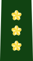陸将 (général de division)
