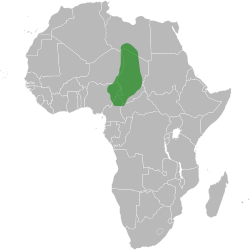 Oblast uticaja Kaanemskog carstva oko 1200 AD