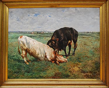 Combat de jeunes taureaux, musée des Beaux-Arts de Gand