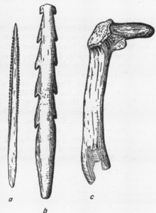Sketches of supposed Solo Man tools including a stingray barb, a bone harpoon or spearhead and a deer antler fragment