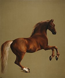 Whistlejacket by George Stubbs, in the National Gallery