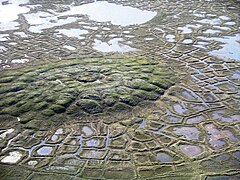 Patterned ground: a melting pingo with surrounding ice wedge polygons near Tuktoyaktuk, Canada