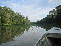 Amazon tributary classified as blackwater