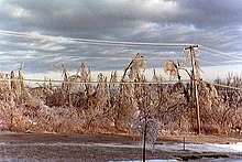 Ice Storm covered power lines and damaged trees