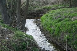Klapovský potok nedaleko ústí do řeky Jihlavy