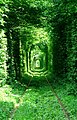 Tunnel of Love, Klevan, Ukraine