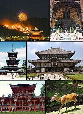 Do topo, à esquerda: Wakakusayama Montanha em Chamas, Grande Buda de Tōdai-ji, Yakushi-ji, Tōdai-ji, Santuário de Kasuga e um cervo no Parque de Nara