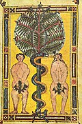 Adamo ed Eva, manoscritto miniato del 950 circa