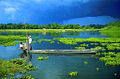 An exotic view of Majuli