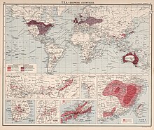 World map of tea exporters and importers, 1907