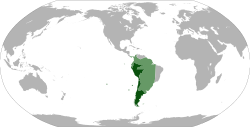 Lokasi Virreinato del Perú: wilayah awal 1542–1718 (hijau muda) dan wilayah de jure akhir 1718–1824 (hijau tua)