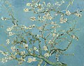 شکوفه‌های بادام ۱۸۹۰ م. موزه ون گوگ