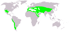 GDistribuição natural global do género Ephedra.