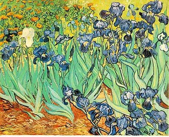 In Vincent van Gogh's Irises, the blue irises are placed against their complementary colour, yellow-orange.