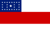 Bendera Amazonas State