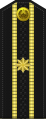 III rang kapitani (Uzbekistan)[9]