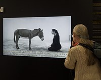 Exhibition of Marina Abramović's first works in Stockholm