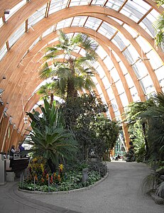 The Sheffield Winter Garden is enclosed by a series of catenary arches.[29]