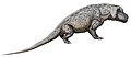Anteosaurus, Anteosaurio