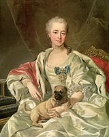 A portrait of Princess Ekaterina Golitsyna by Louis-Michel van Loo (1759) Moscow, Pushkin Museum of Fine Arts
